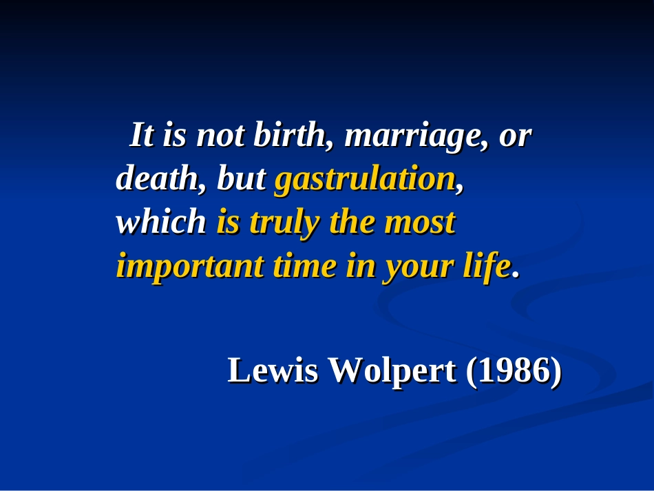 原肠作用及早期发育_第2页