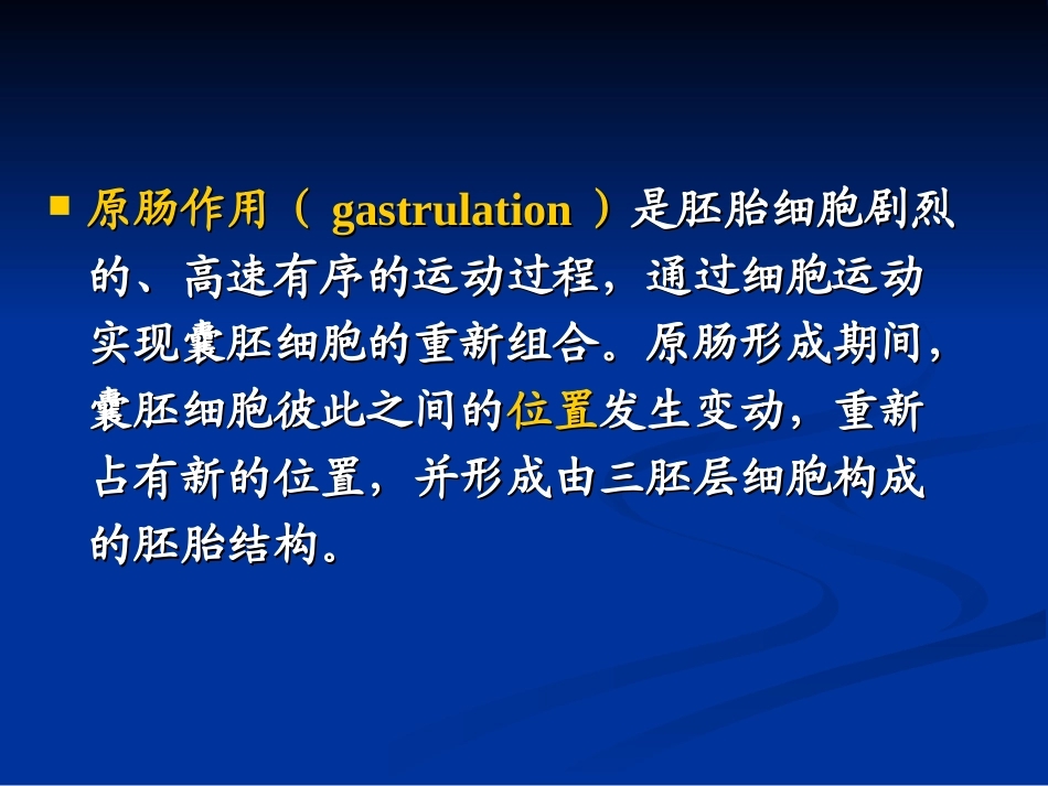 原肠作用及早期发育_第3页