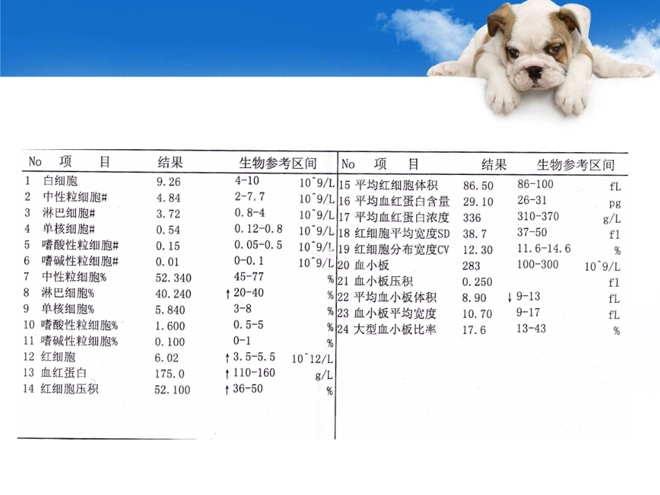 血液一般检验WBC+DC_第2页