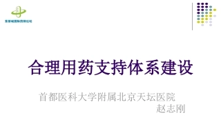 合理用药支持体系建设CN