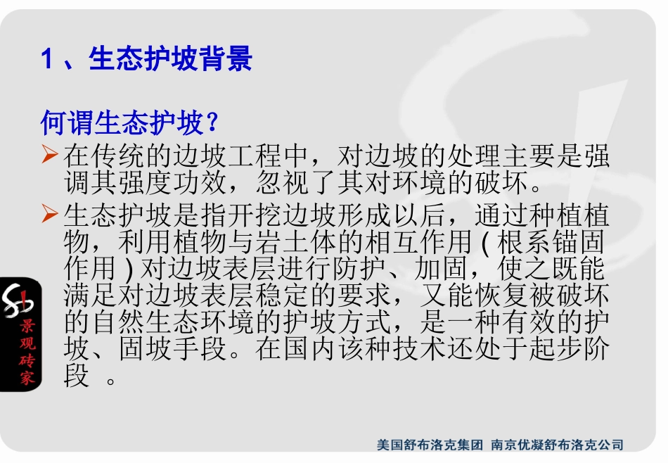 生态护坡技术_第2页