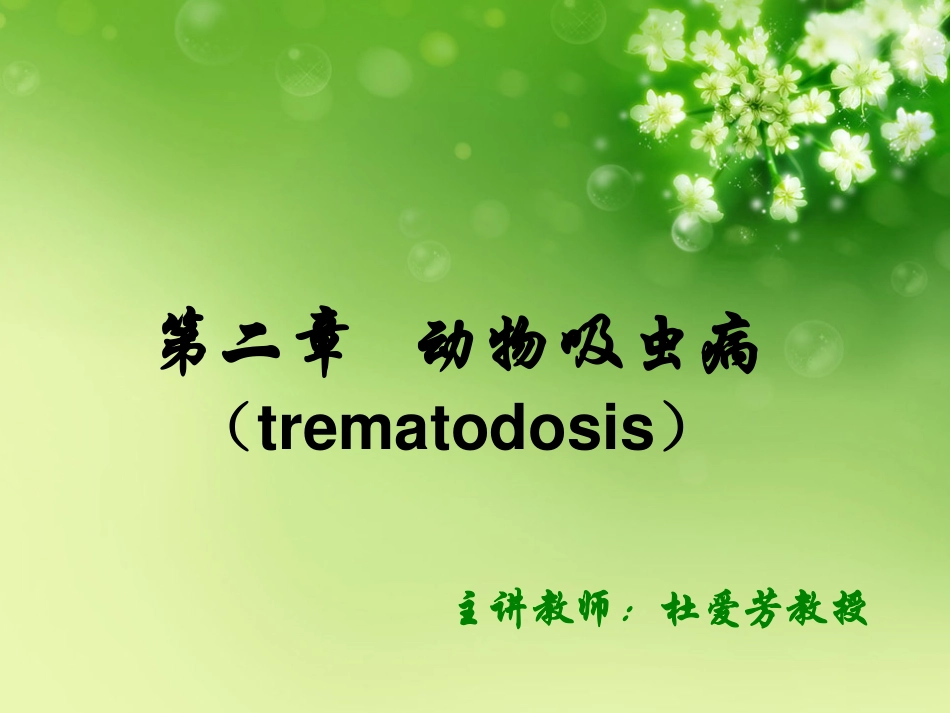 第二章 吸虫_第1页
