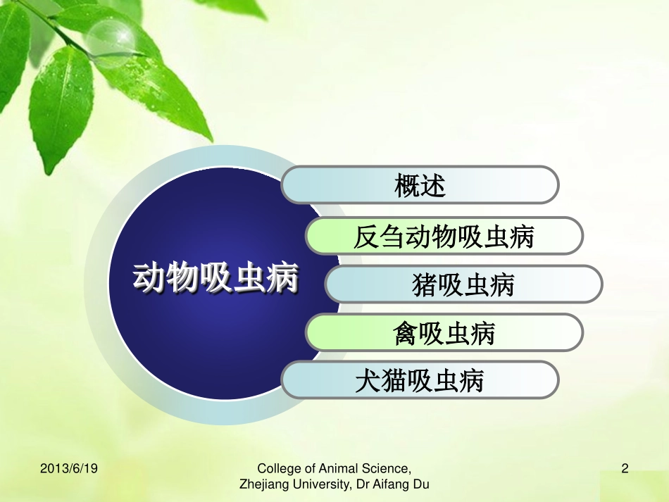 第二章 吸虫_第2页