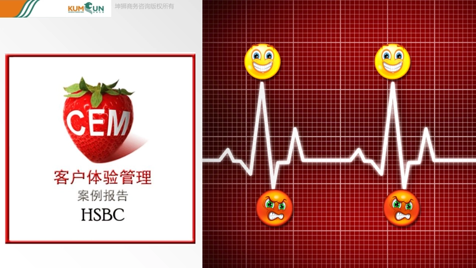 HSBC CEM案例分析_第1页
