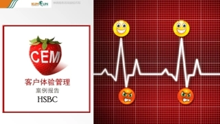 HSBC CEM案例分析