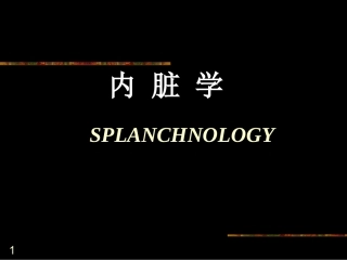 消化系统2013ppt