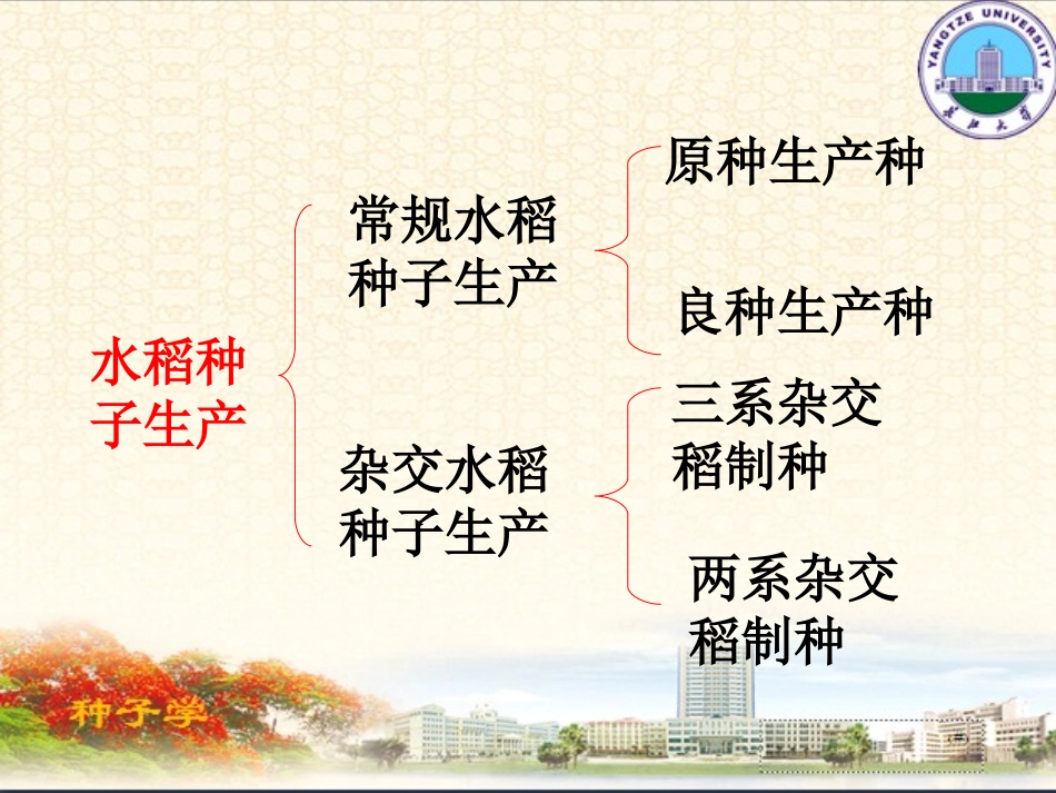 水稻种子生产技术_第2页