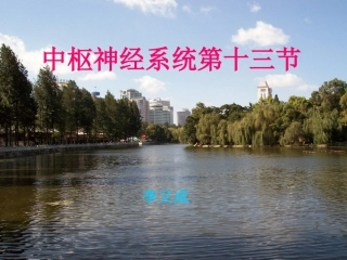 中枢椎管脊髓病变