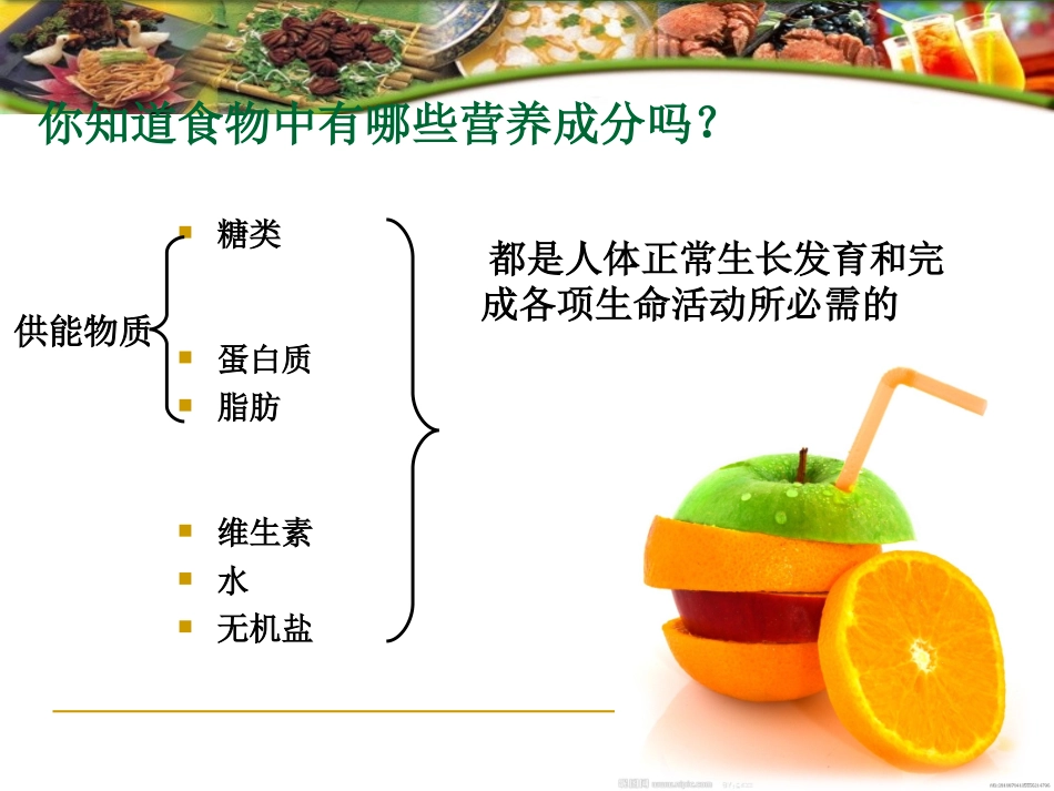 食物的消化与吸收(一)_第3页