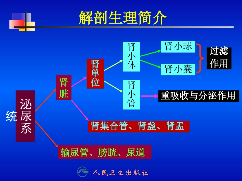 泌尿系统001分析资料_第3页