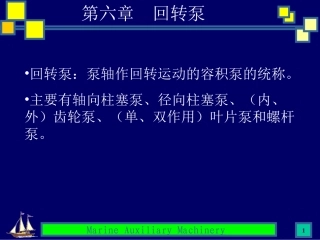 第六章 回转泵