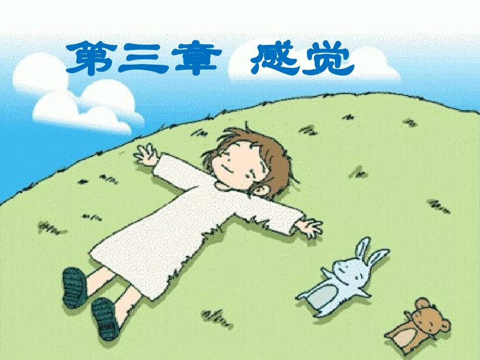 第三章_感觉_第1页