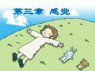 第三章_感觉