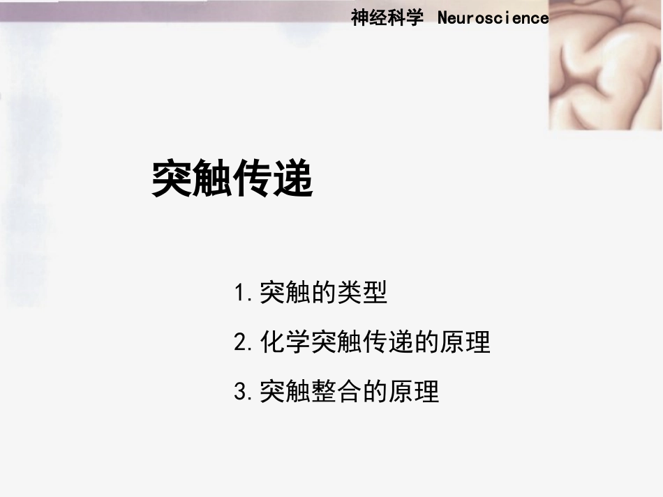 神经元的信息传递_第2页