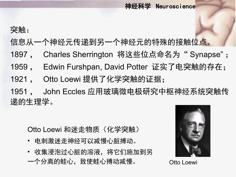 神经元的信息传递_第3页