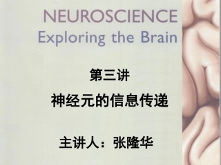 神经元的信息传递