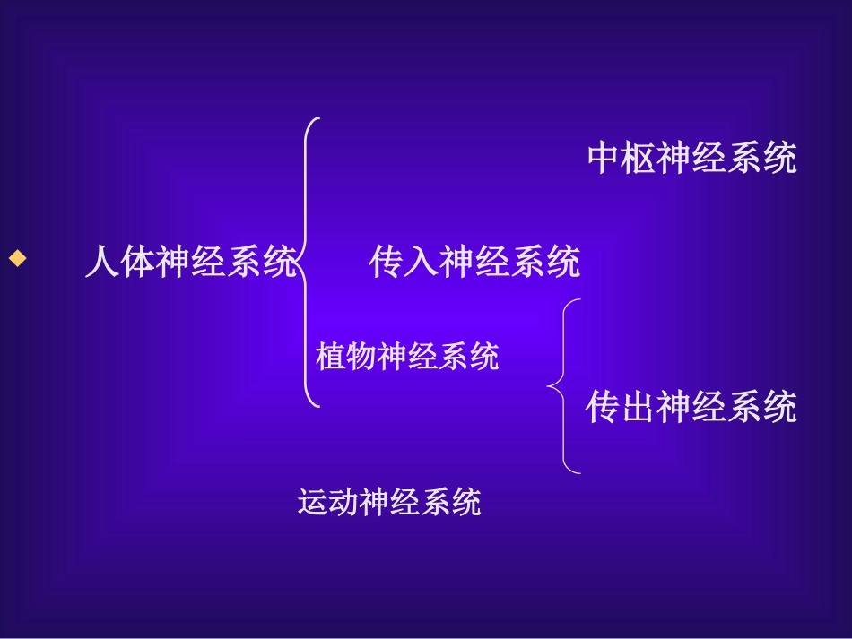 第九章胆碱受体激动剂_第2页