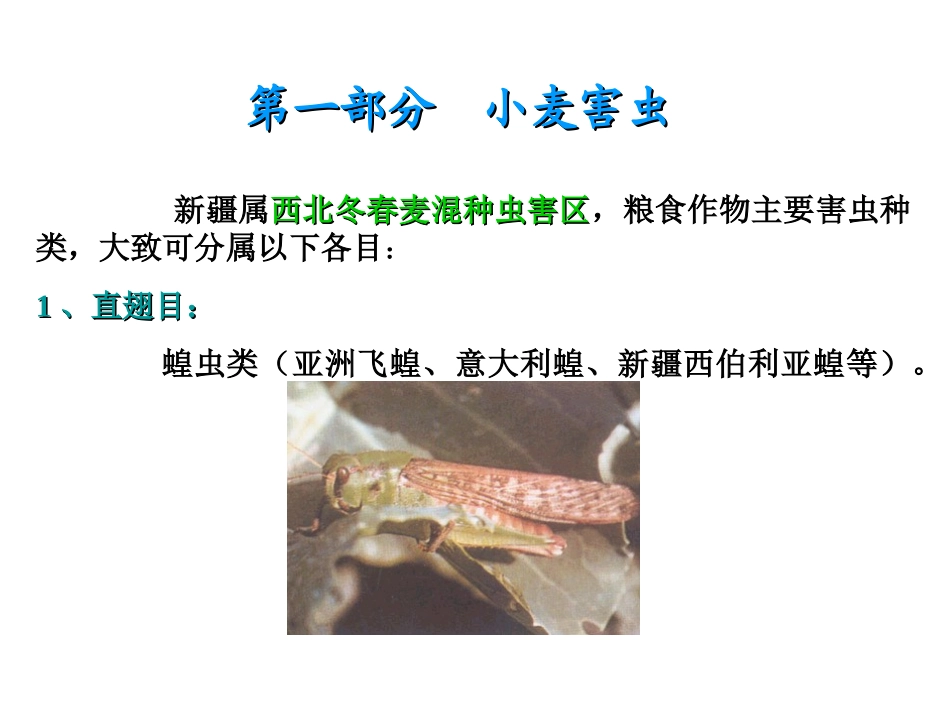 小麦病虫害防治_第2页