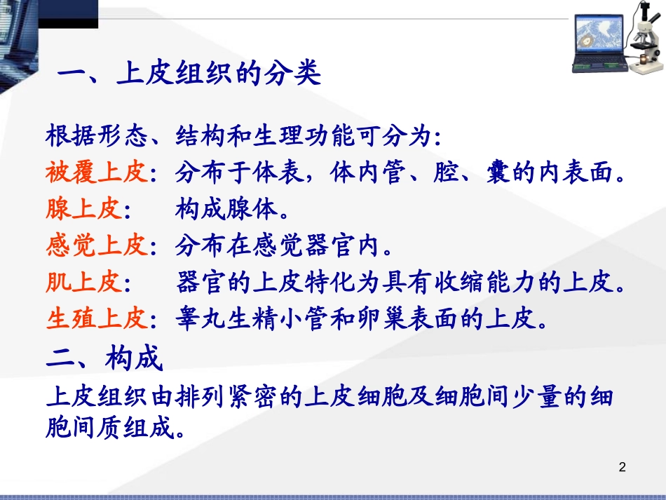 第2章 上皮组织_第2页