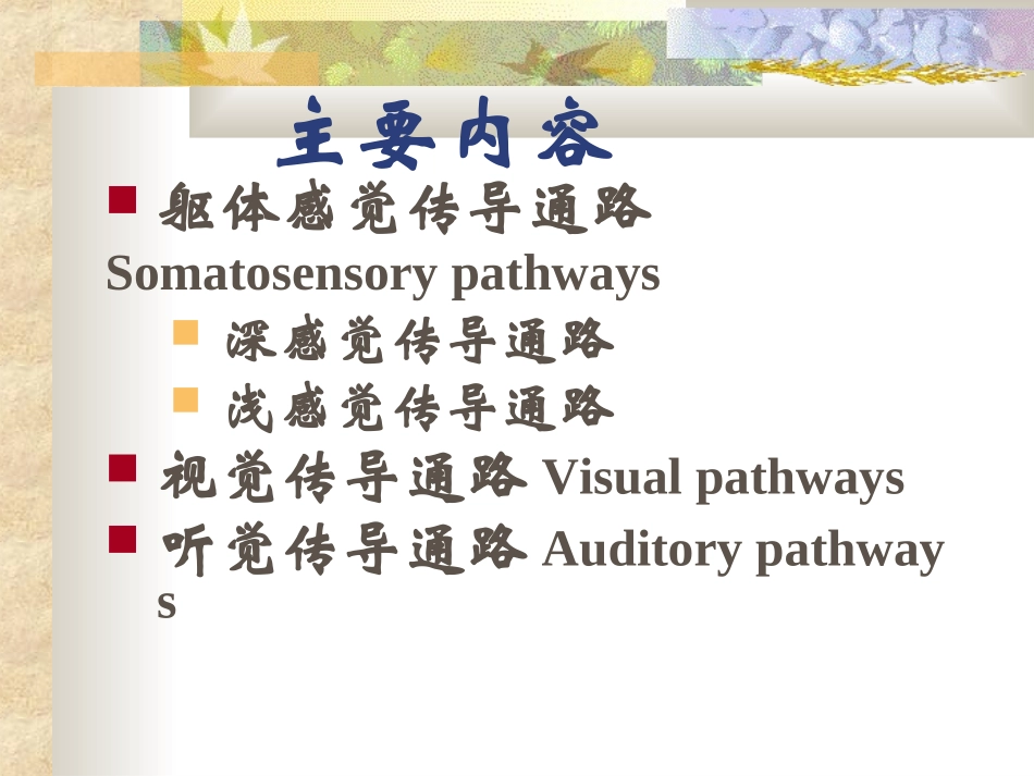 人体解剖学感觉传导通路_第2页