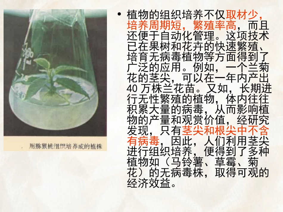 第四章    植物的繁殖_第3页