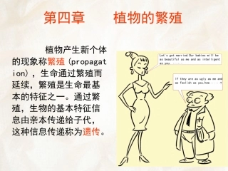 第四章    植物的繁殖