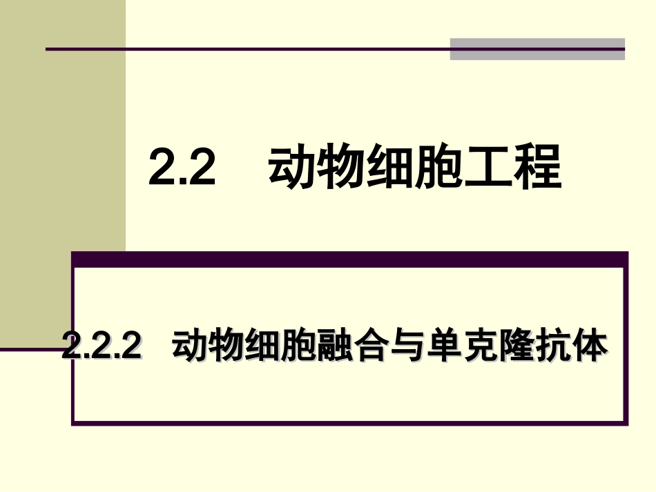 动物细胞融合与单克隆抗体(讲课)_第1页