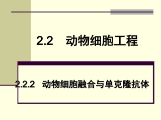 动物细胞融合与单克隆抗体(讲课)