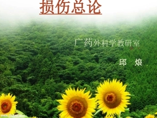 创伤总论[幻灯]