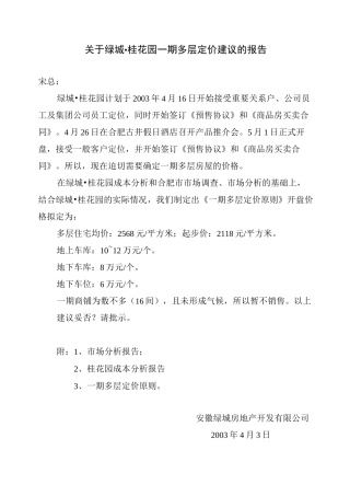 (定价策略)定价报告