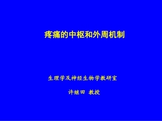 痛觉过敏C1