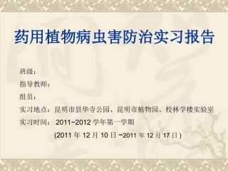 西南林业大学病虫害防治实习PPT