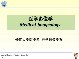 胃十二指肠影像学