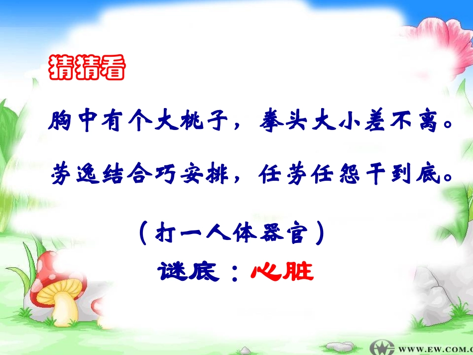输送血液的泵—心脏ppt._第2页