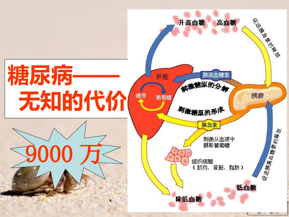 易道-糖尿病知识1_第2页