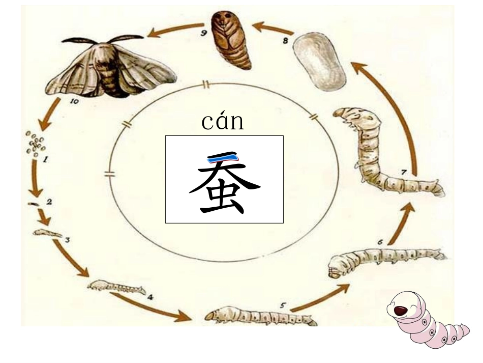 苏教版二下《蚕姑娘》_第2页