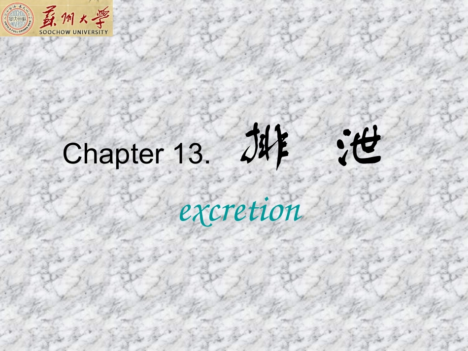 大学生理课程 人体 排泄系统_第1页
