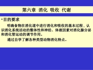第六章 消化 吸收 代谢