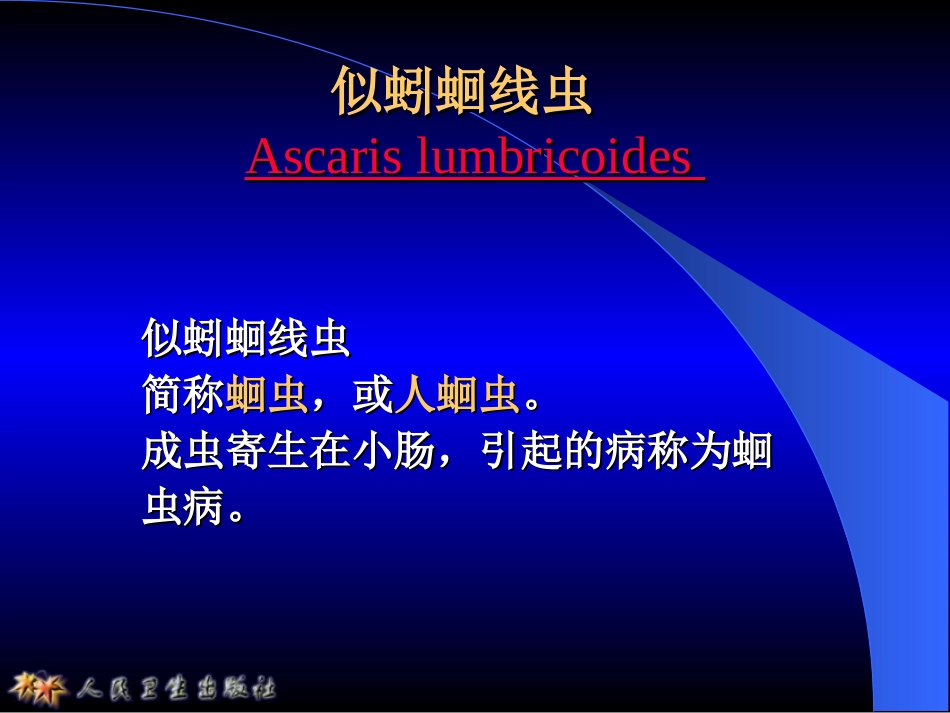 寄生虫——似蚓蛔线虫_第1页