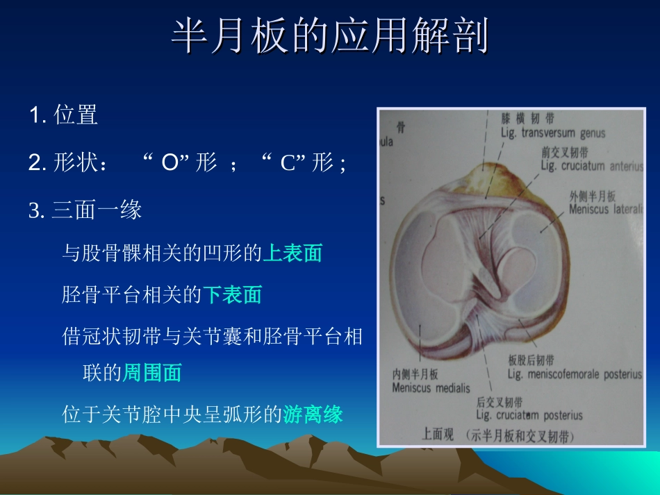 半月板解剖与MR诊断_第2页