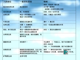 根及根茎类(专科)zhao2011.11