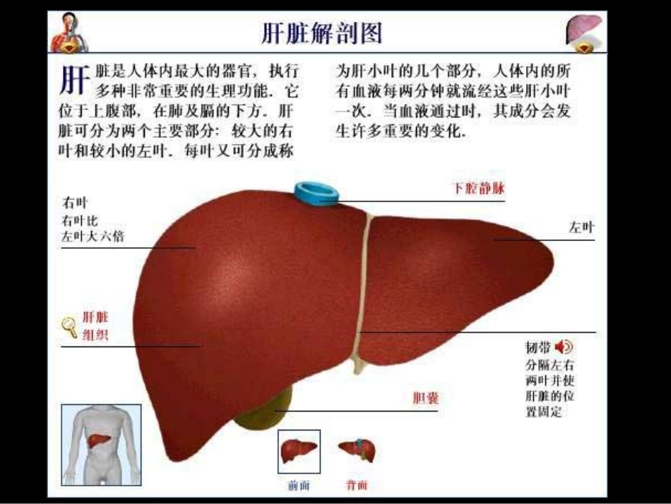 江西最好的肝病医院-肝病治好了_第2页