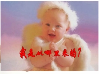 必修1：6.2细胞的分化