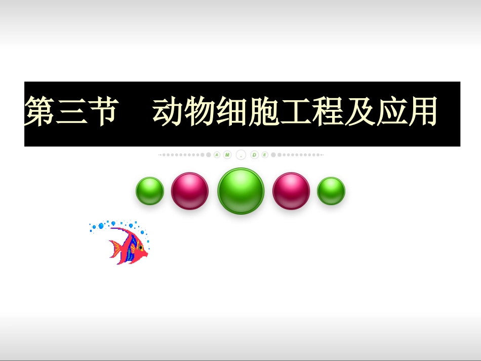 动物细胞工程上课ppt_第2页