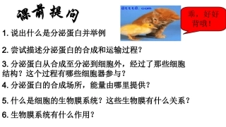 细胞核系统的控制中心