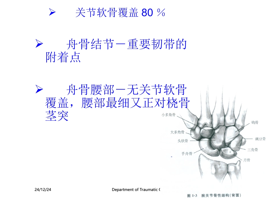 腕部舟状骨骨折_第3页