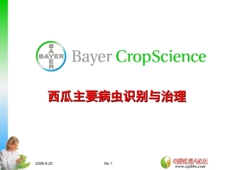 西瓜病虫害防治技术