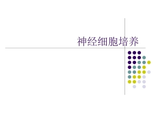神经细胞培养2