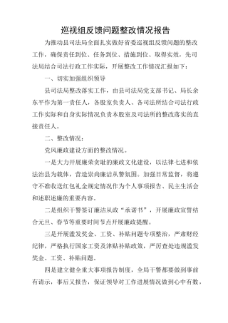 巡视组反馈问题整改情况报告
