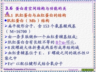 第3章 蛋白质的高级结构